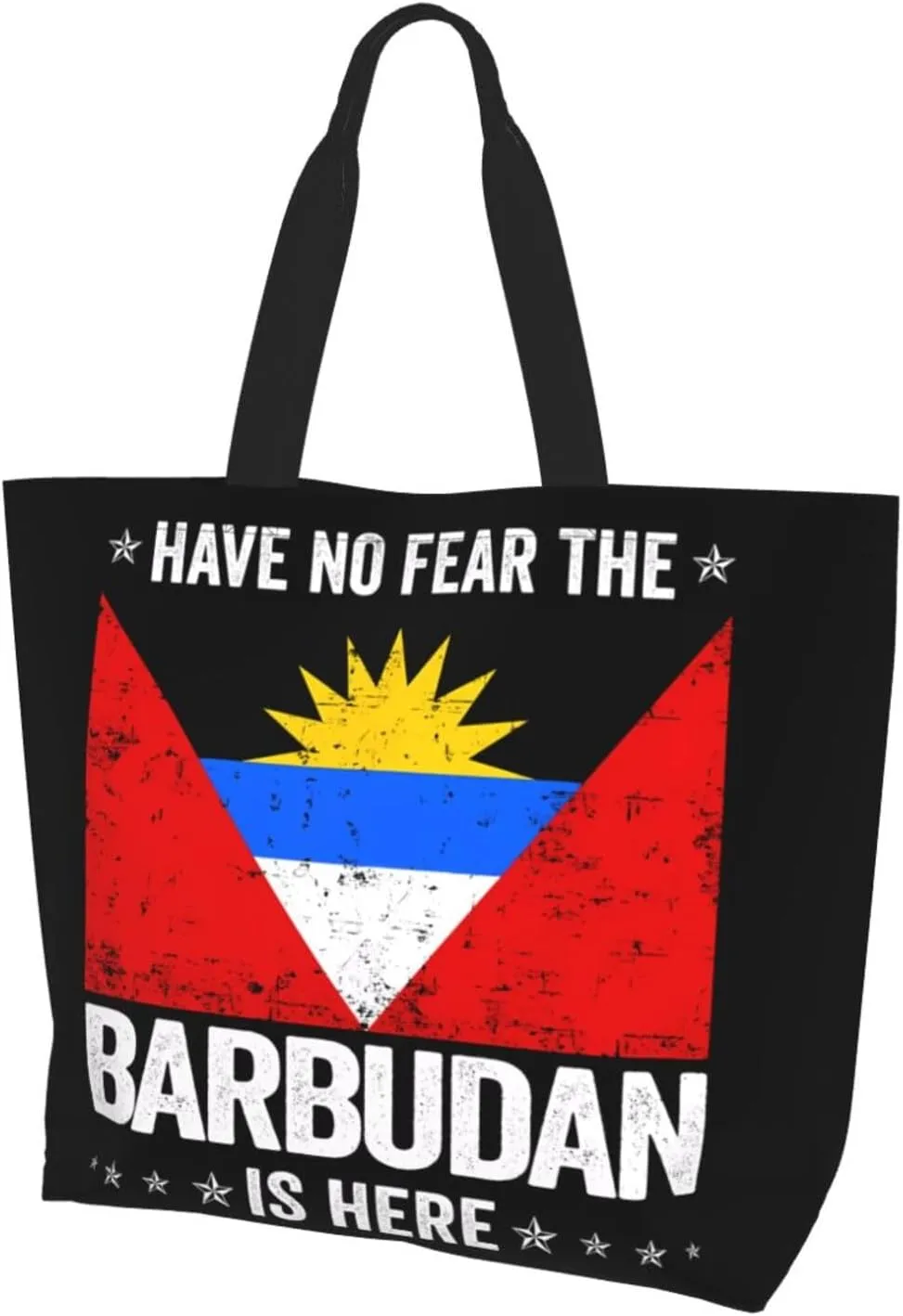 Argentina Flag Women's Tote Bag Large Capacity Single Shoulder Bags Handbag for Shopping Work
