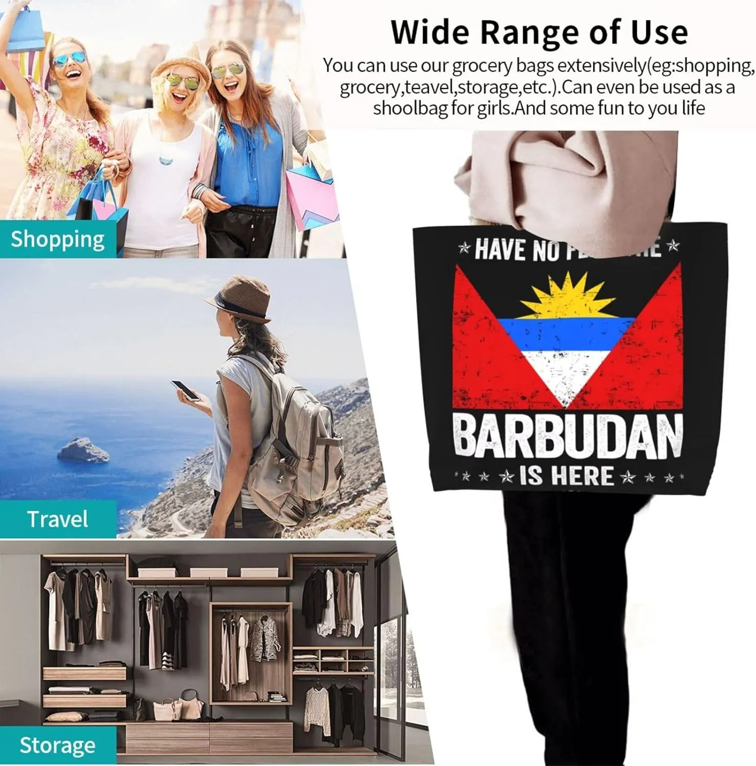 Argentina Flag Women's Tote Bag Large Capacity Single Shoulder Bags Handbag for Shopping Work