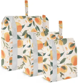 Watercolor Peach Packing Cubes for Travel 3 Set Packing Bags Luggage Bags Organizer for Luggage